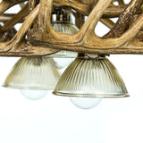 Whitetail Deer 10 Antler Chandelier with Down Lights