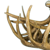 Whitetail Deer 10 Antler Chandelier with Down Lights