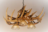 Whitetail Deer 10 Antler Chandelier with Down Lights