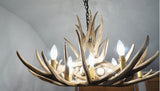 Mule Deer 9 Antler Chandelier